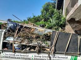 Types of Items We Remove From Your Property in Broadway, VA